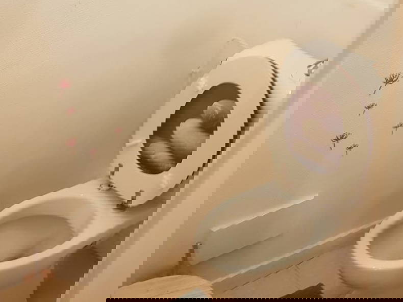 Colocation Saint-Sébastien-sur-Loire 266556-2