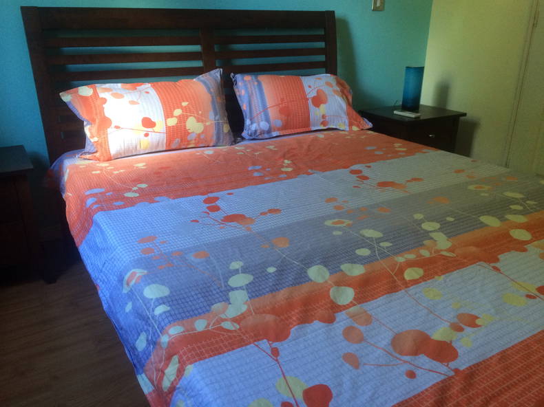 Entire Home Grand Baie 118970-1