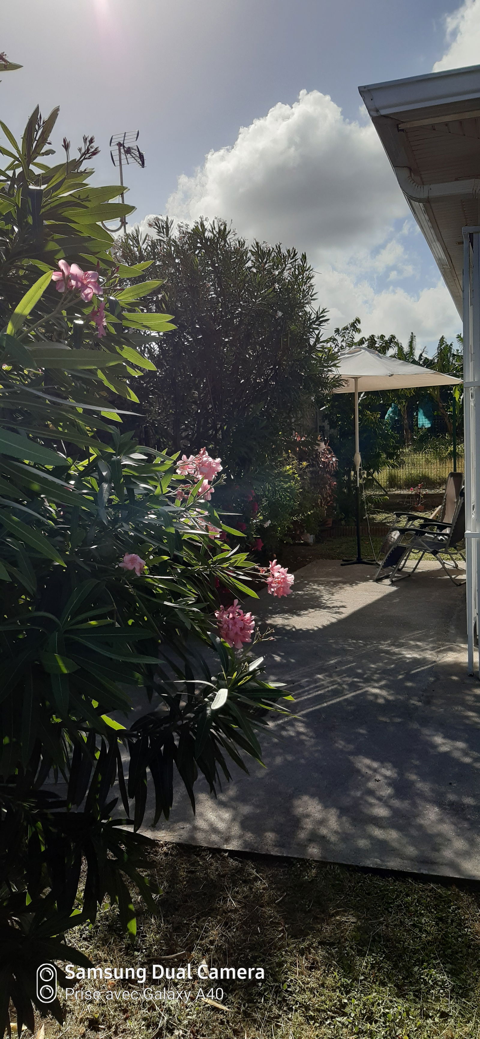 Independent Studio Le Vauclin 41235