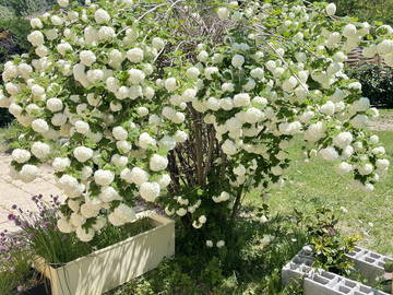 Chambre Chez L'habitant Digne-Les-Bains 386621-5