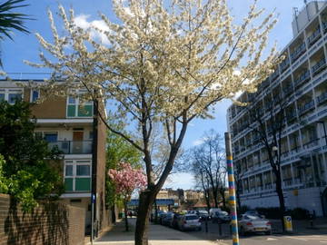 Colocation London 252787-7