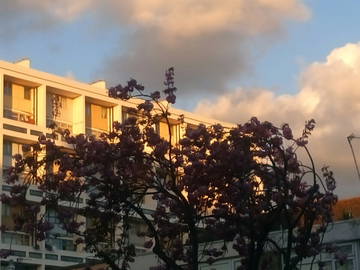 Colocation London 252787-8