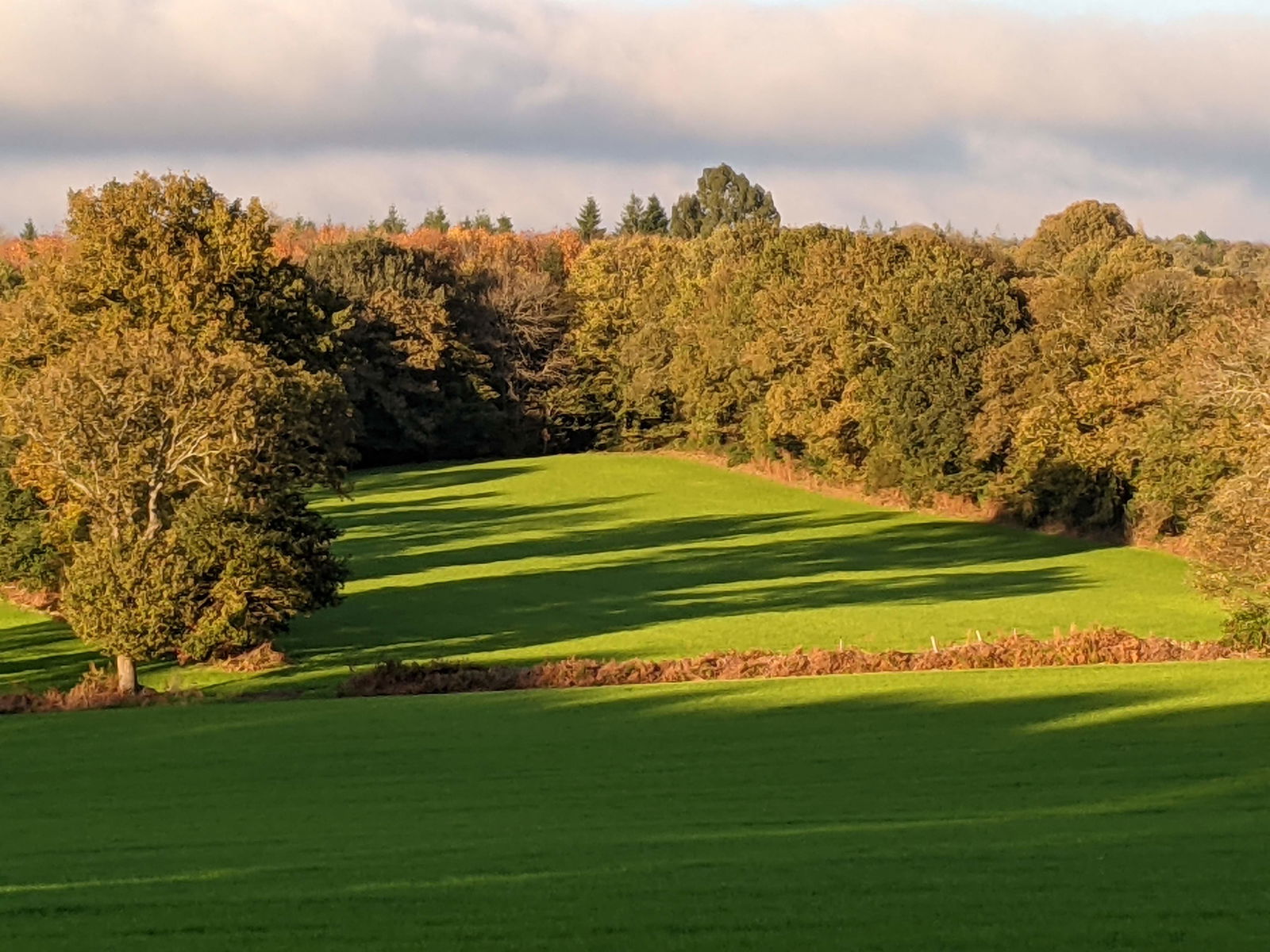 Gastfamilie Saint-Nolff 279634