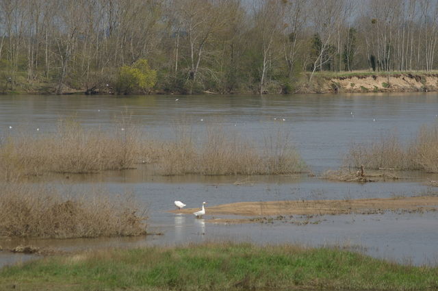 Onafhanklike Ateljee Saint-Nazaire 39118