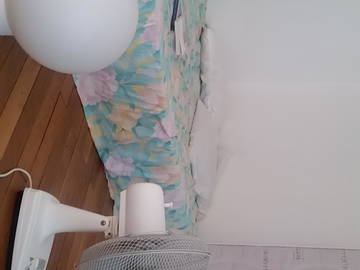 Quedarse En Casa Paris 173782