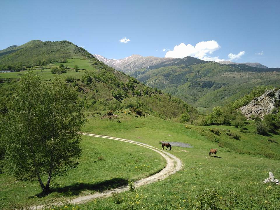 Onofhängeg Studio Prats-de-Mollo-la-Preste 54868