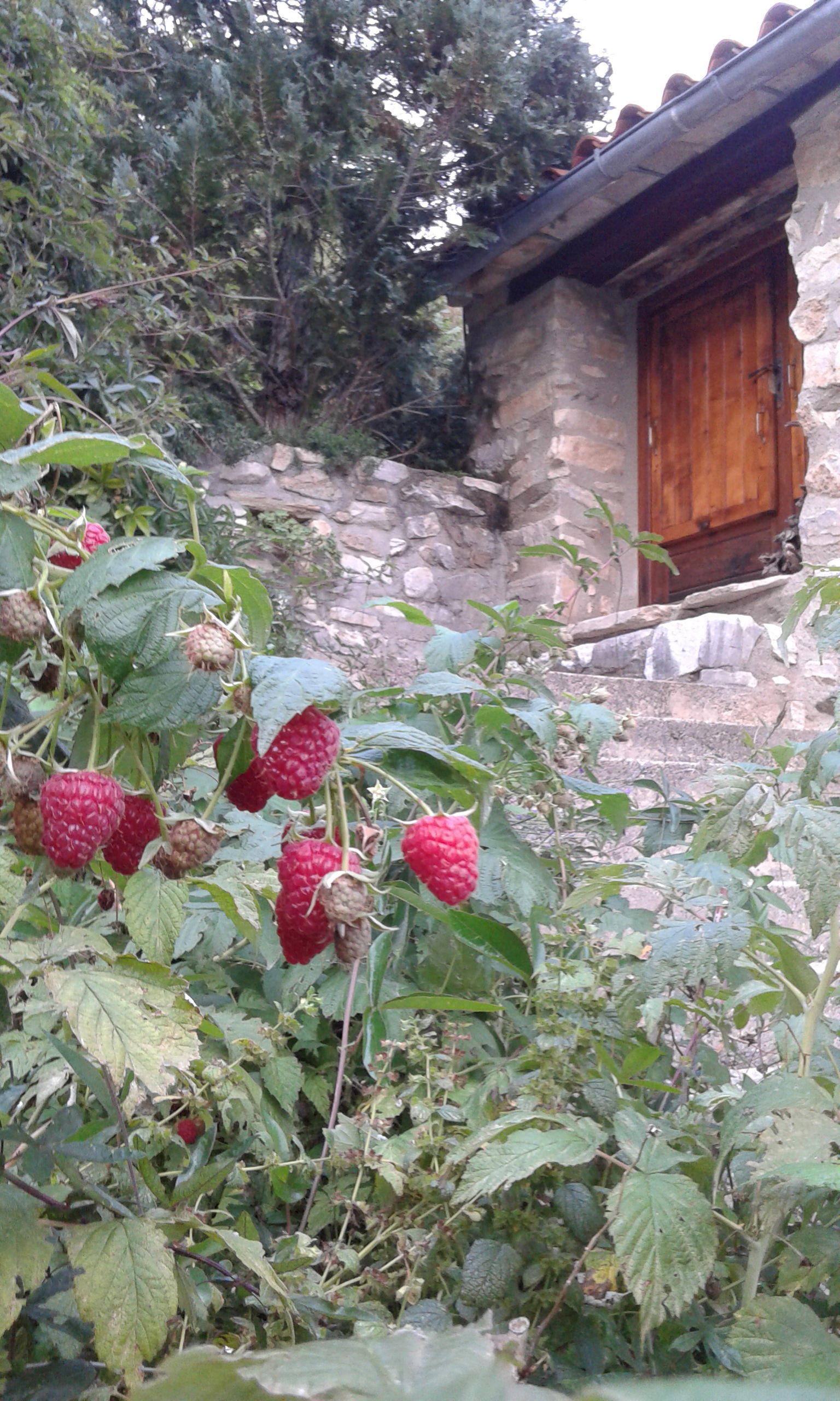 Onofhängeg Studio Prats-de-Mollo-la-Preste 54868