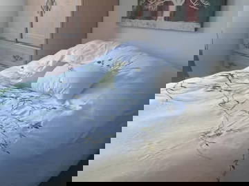 Colocação Québec 648222-11