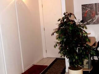 Colocation Québec 648222-4