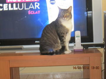 Chambre Chez L'habitant Llançà 182807-8