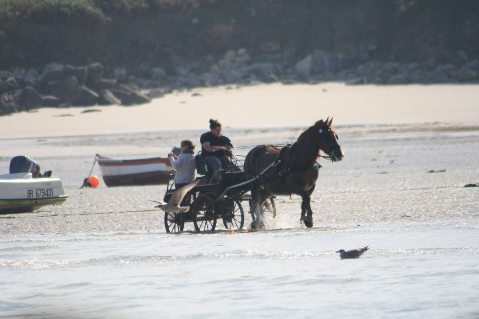 Hela Huset Saint-Pabu 190630