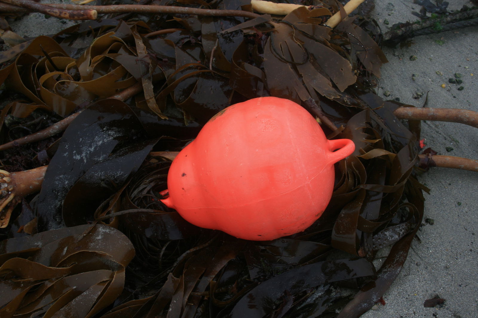 Hela Huset Saint-Pabu 190630