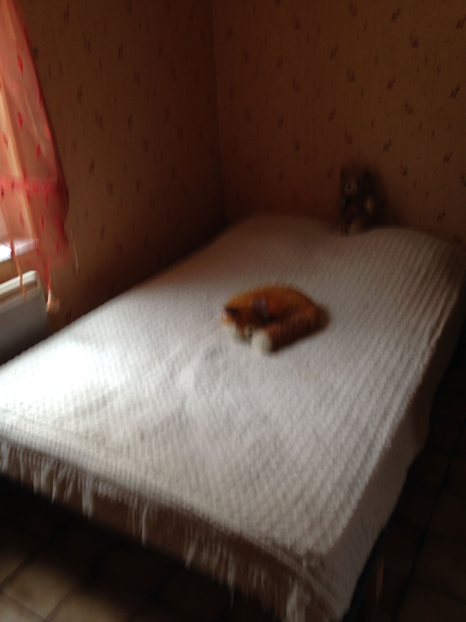 Oberoende Studio Le Mont-Dore 120914