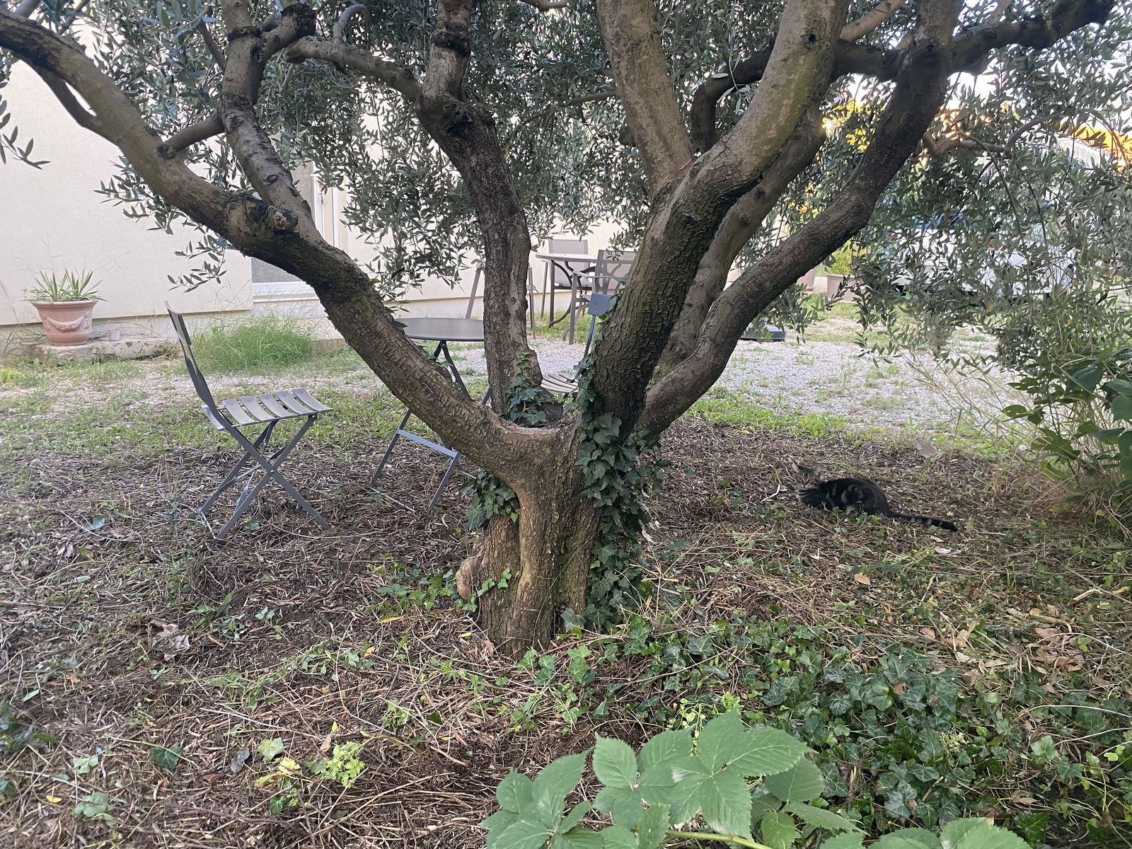 Entire Home Pont-Saint-Esprit 229878