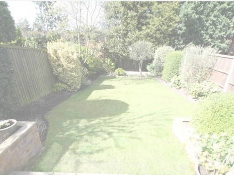 Gastfamilie Arnold 148649-5