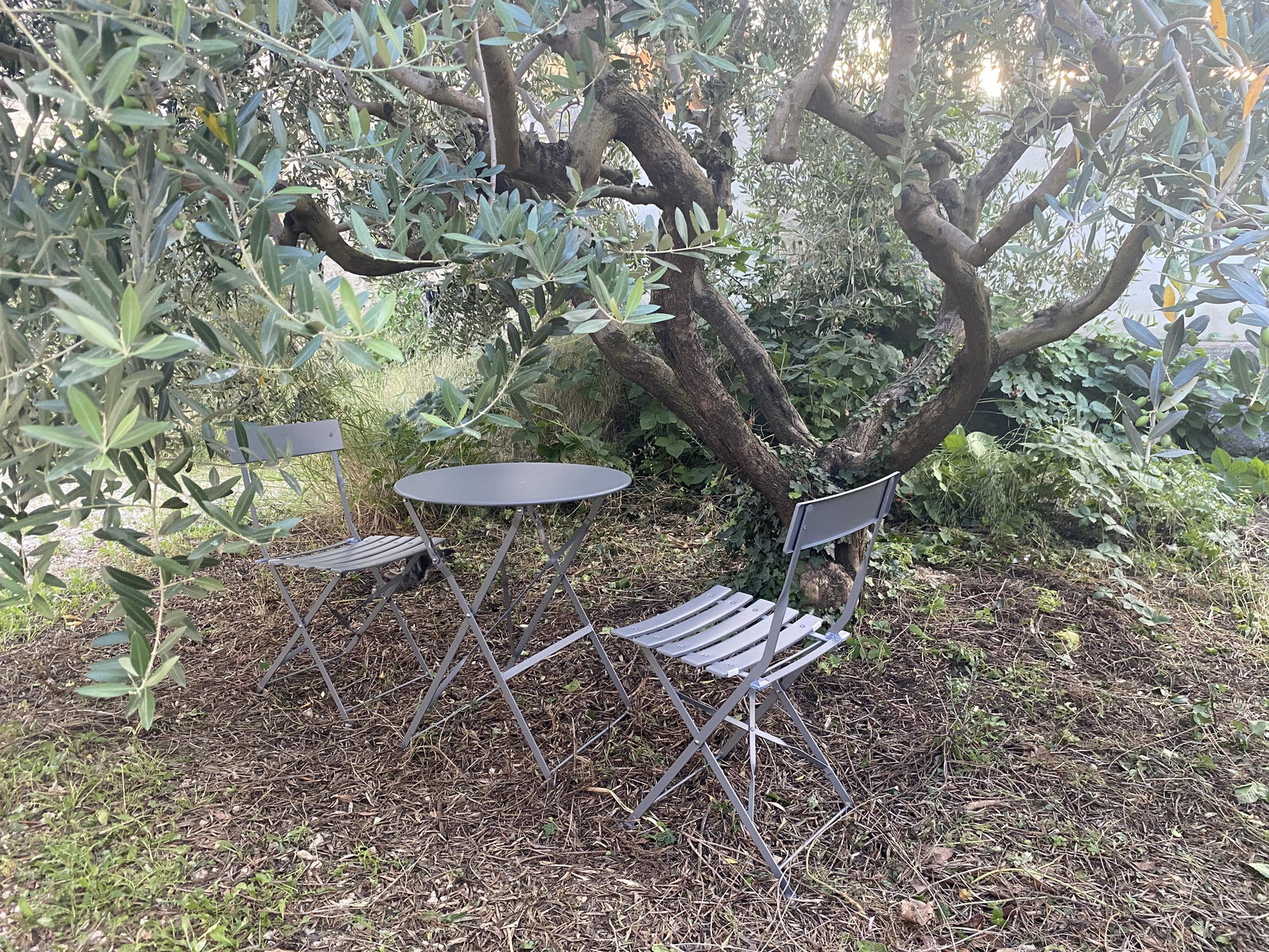 Ganz Haus Pont-Saint-Esprit 229878