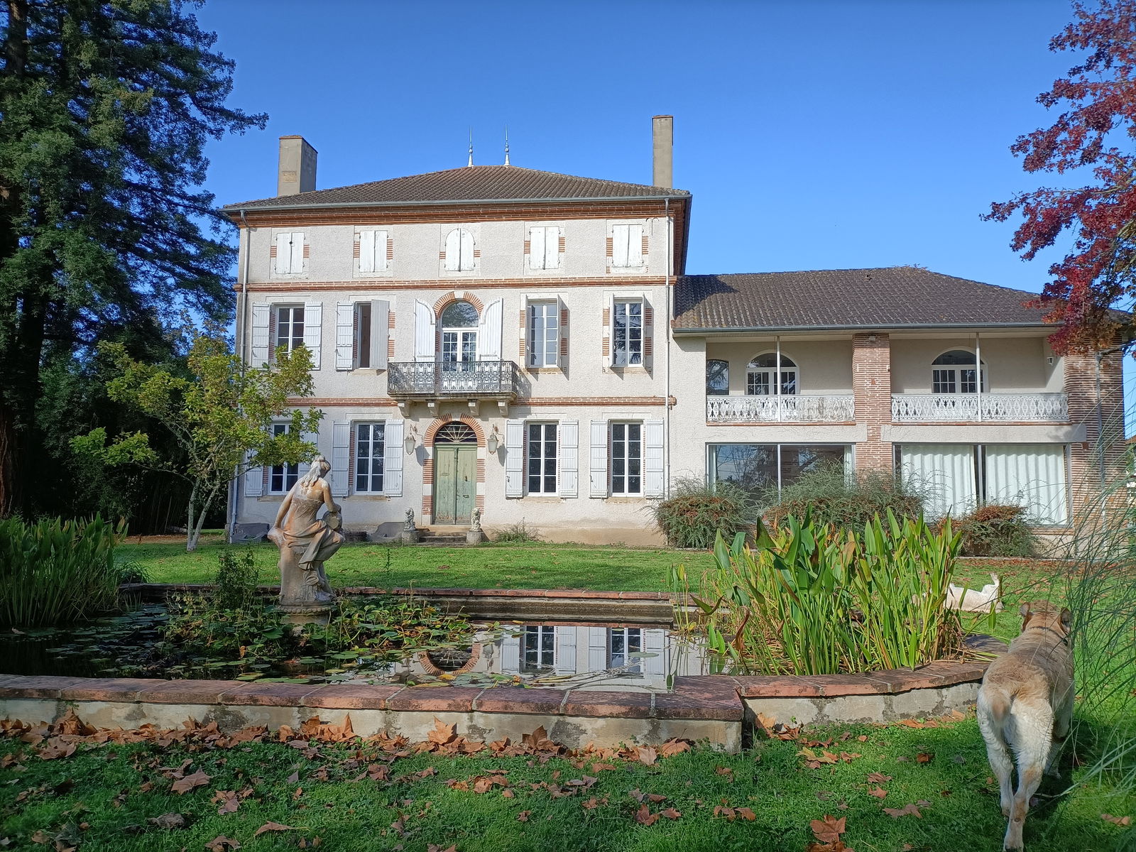 Colocatie Lamagistère 470690