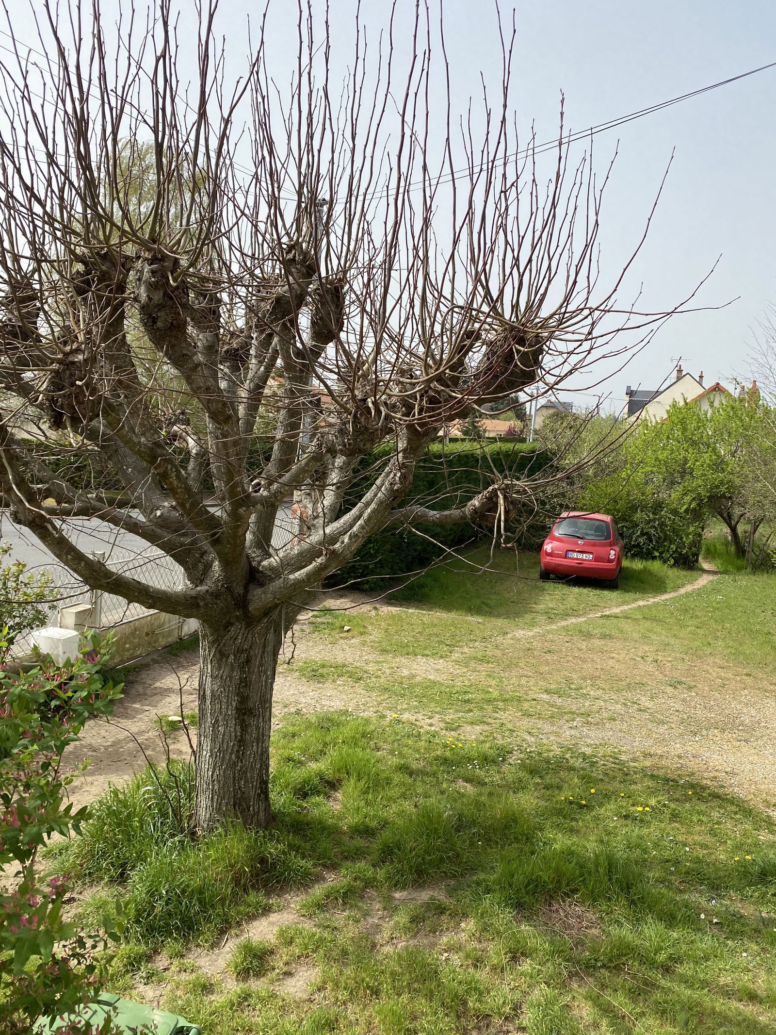 Homestay Naintré 259331