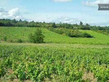 Homestay Carcassonne 40652-8