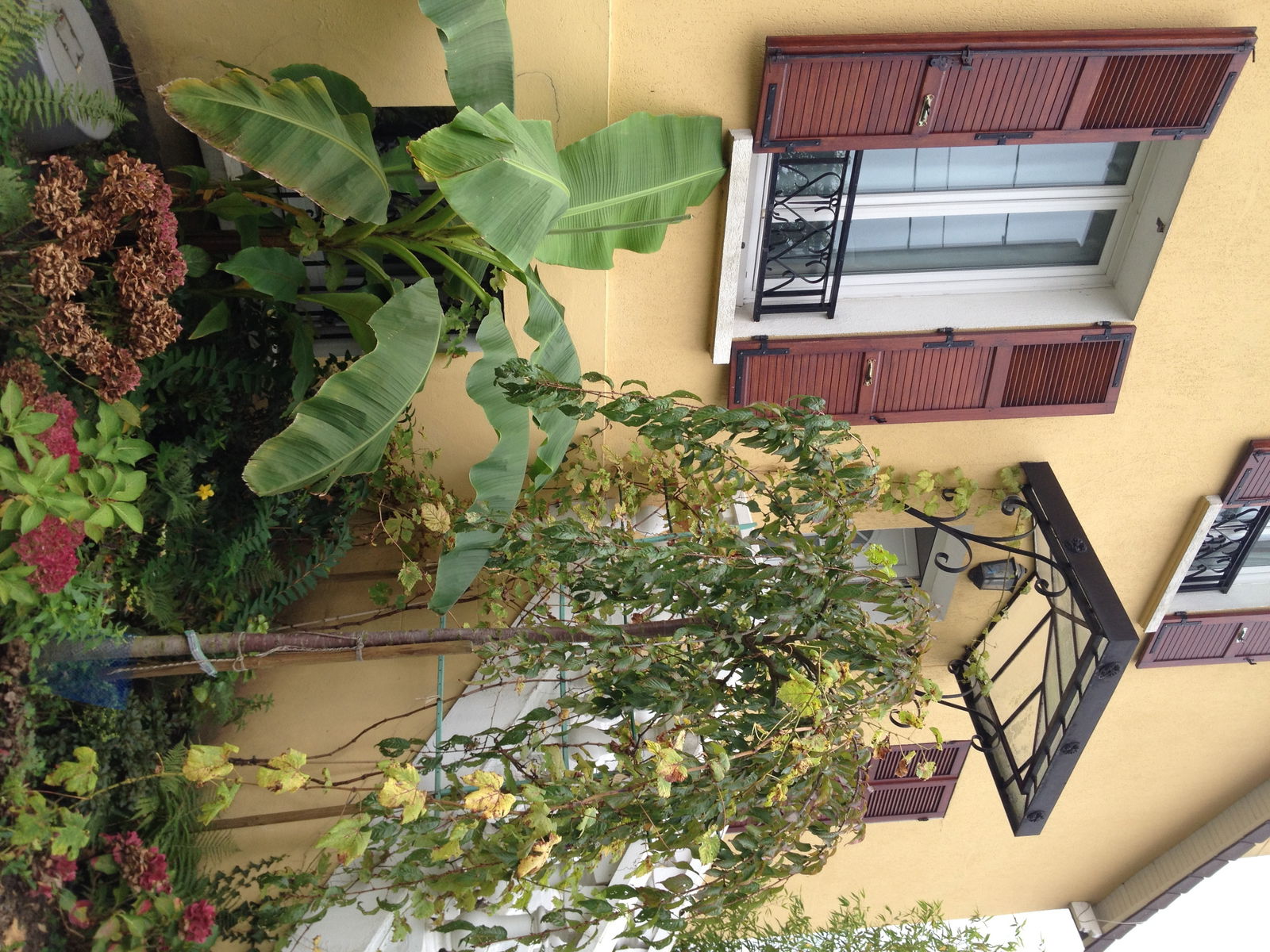 Gastfamilie Les Pavillons-sous-Bois 125191