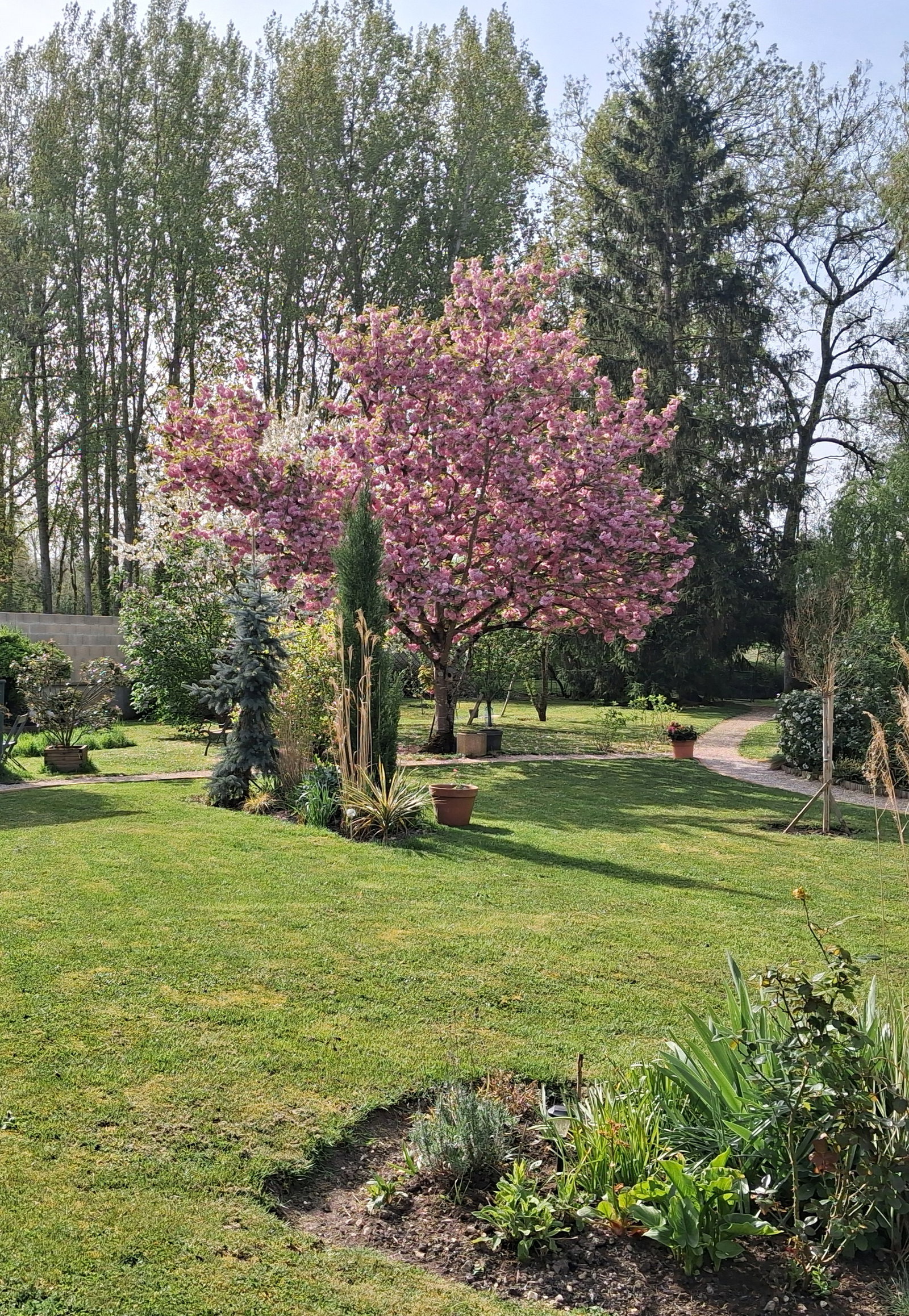 Gastfamilie Bourges 262594