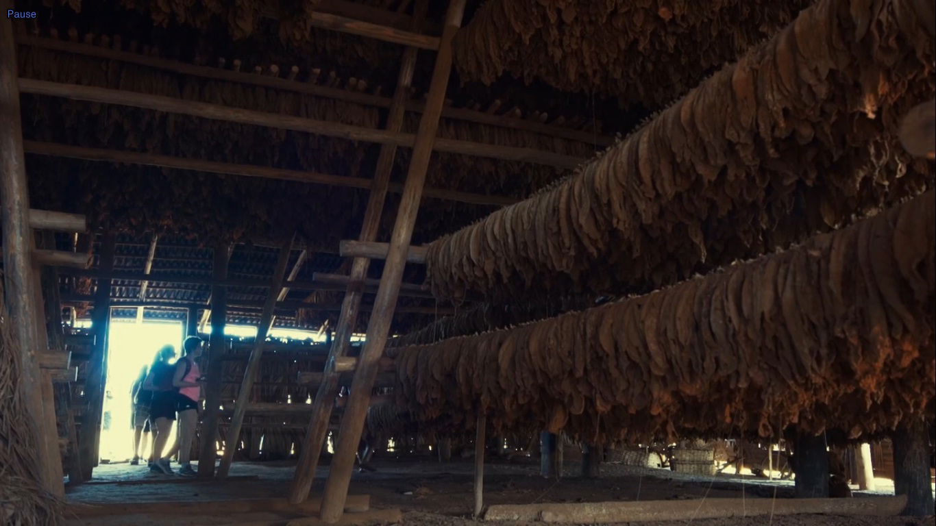 Homestay Viñales 188722