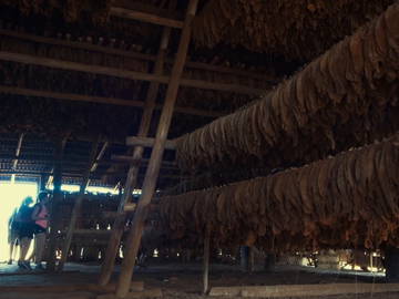 Chambre Chez L'habitant Viñales 188722-7