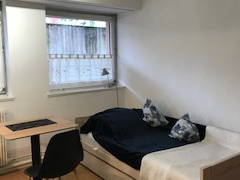 Room For Rent Colmar 245660