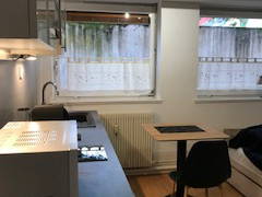 Chambre Chez L'habitant Colmar 245660-11