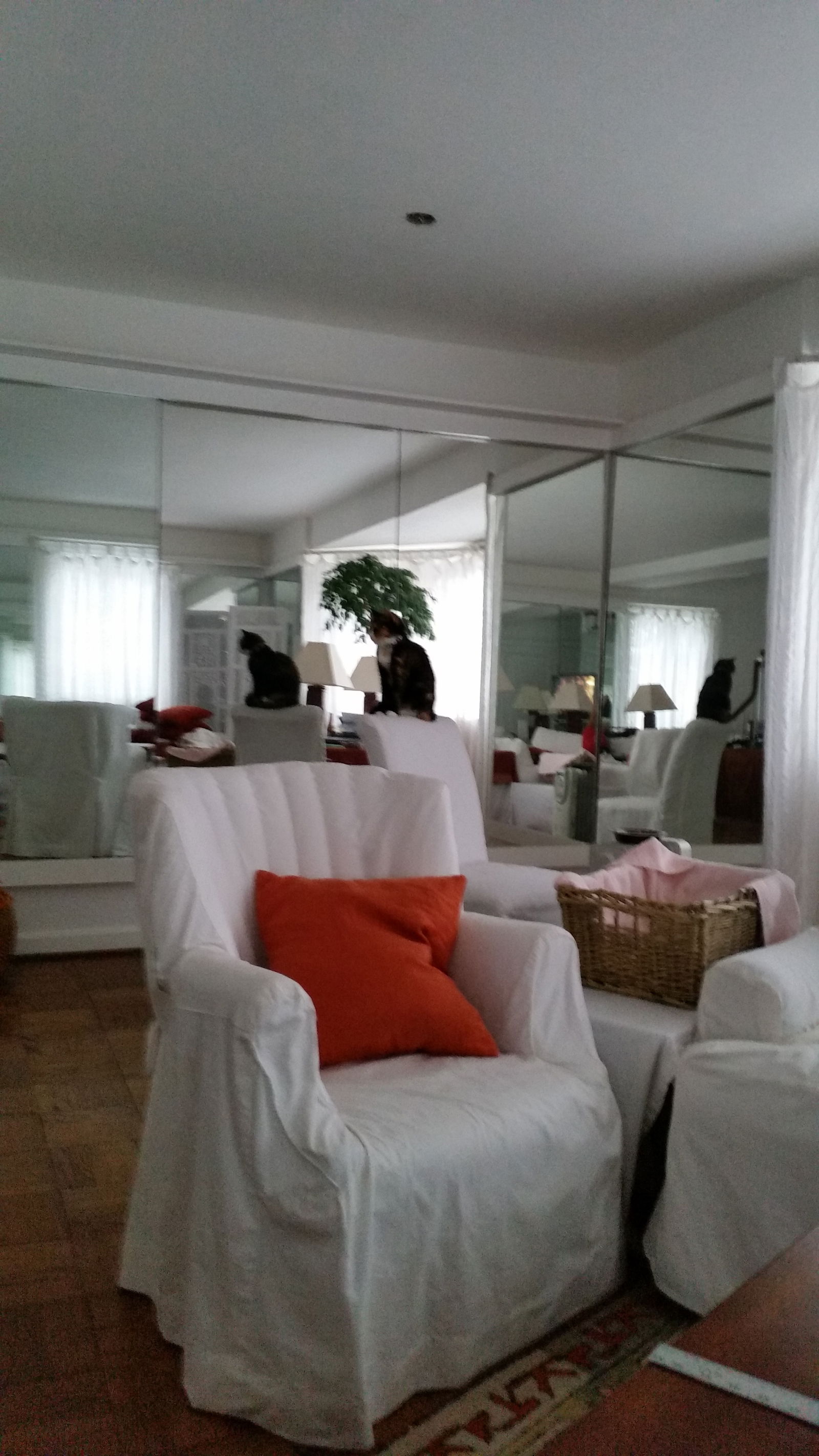 Homestay Alexandria 112897