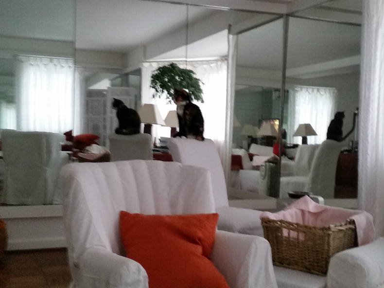 Homestay Alexandria 112897-2