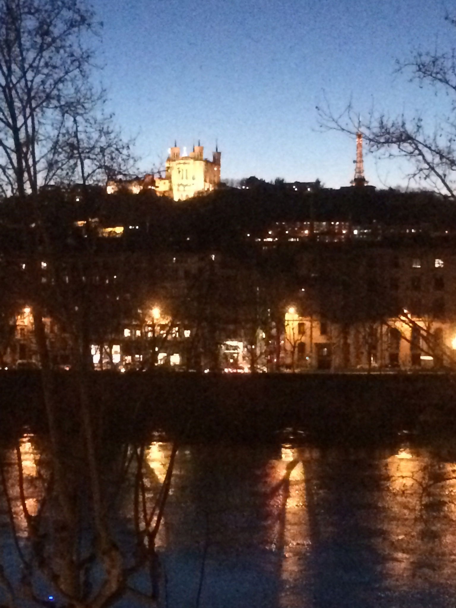 Colocation Lyon 40844