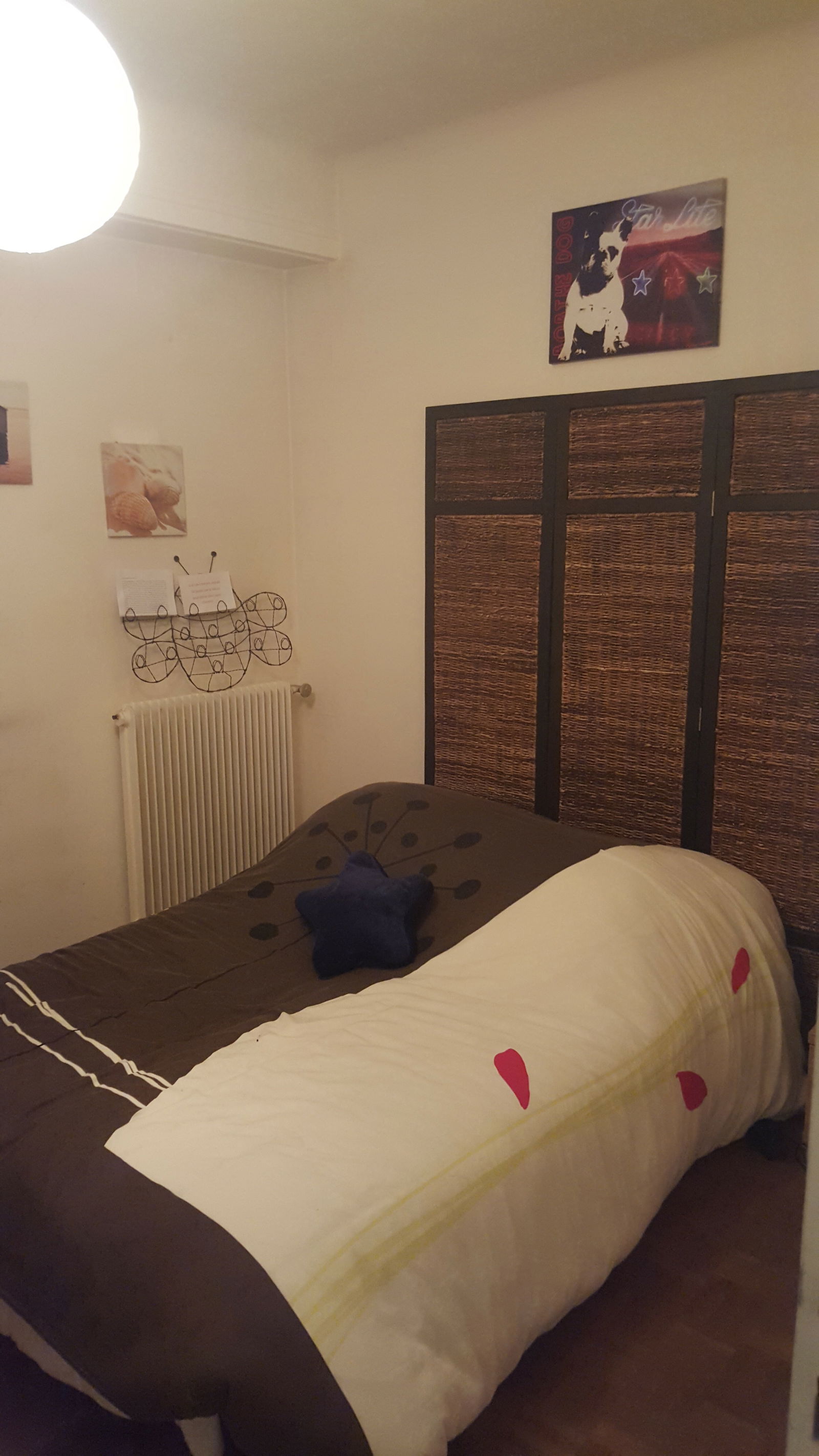 Colocation Pau 118375