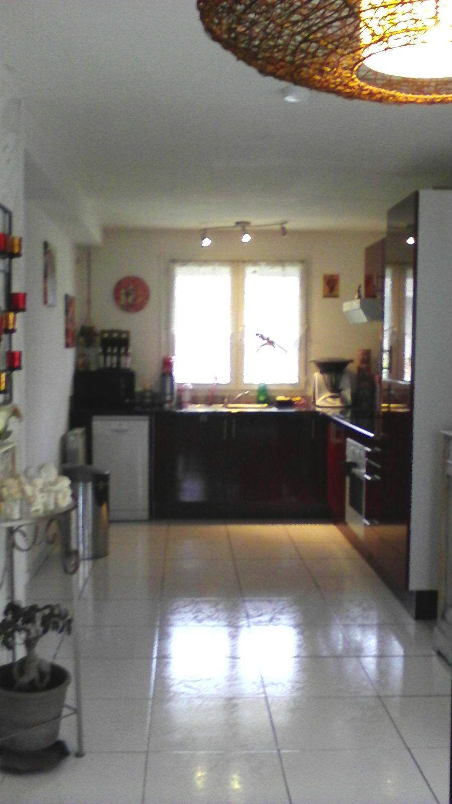 Colocation Roques 123685