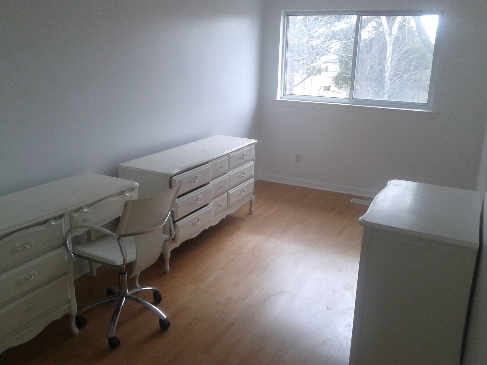 Homestay Mississauga 162591