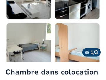Colocation Strasbourg 344441