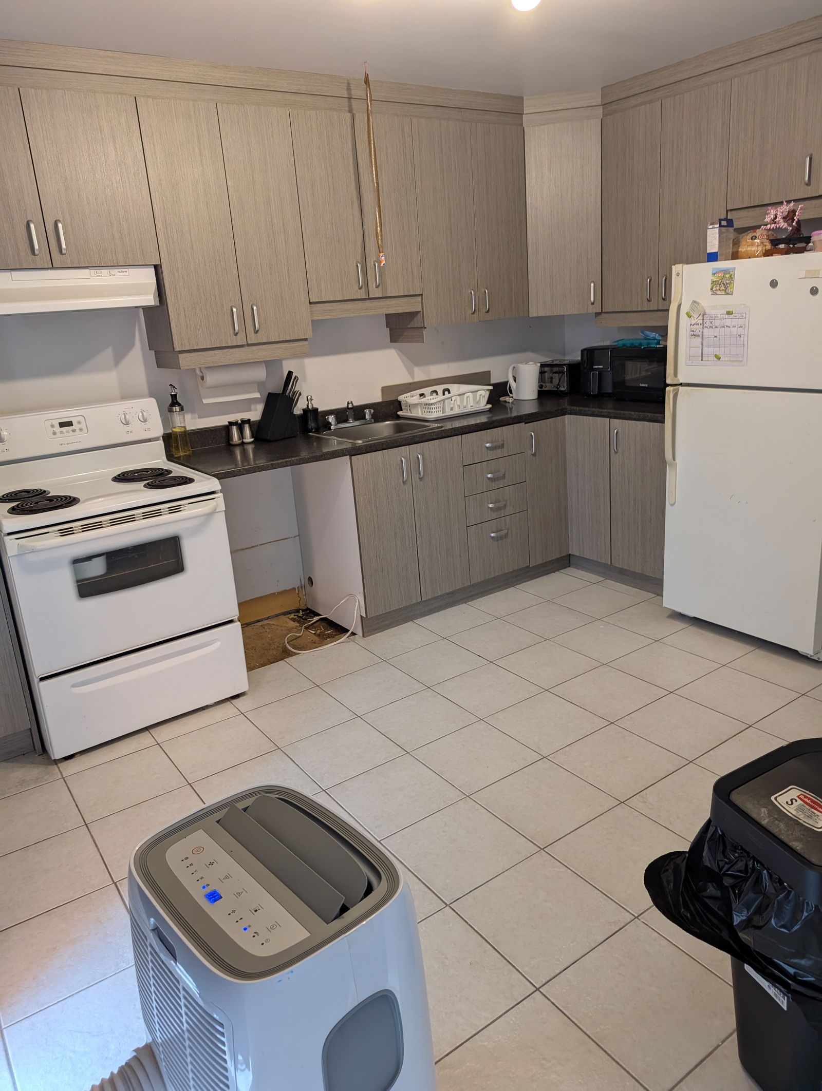 Colocation Lévis 593116