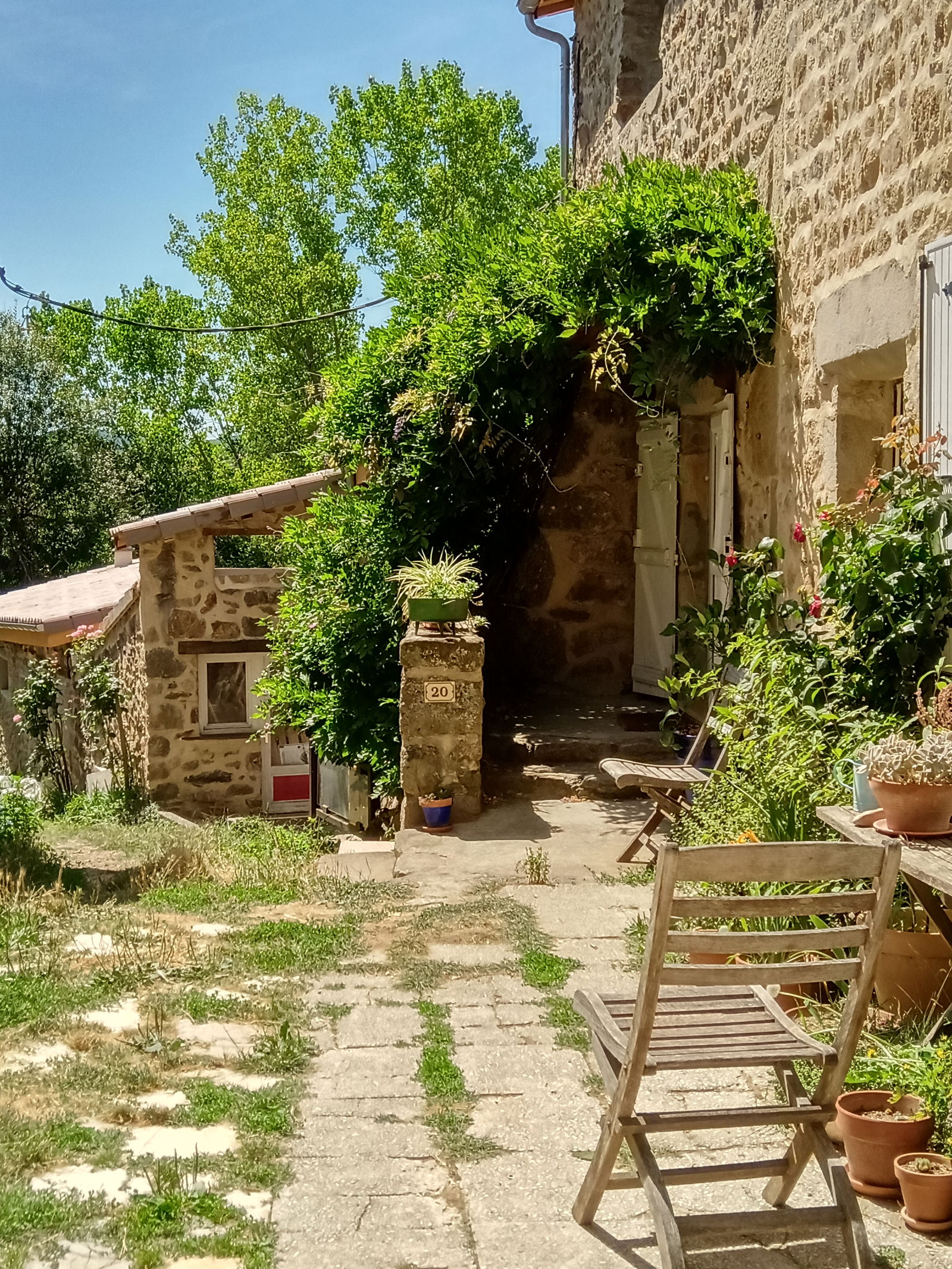 Colocation Saint-Sylvestre 264542