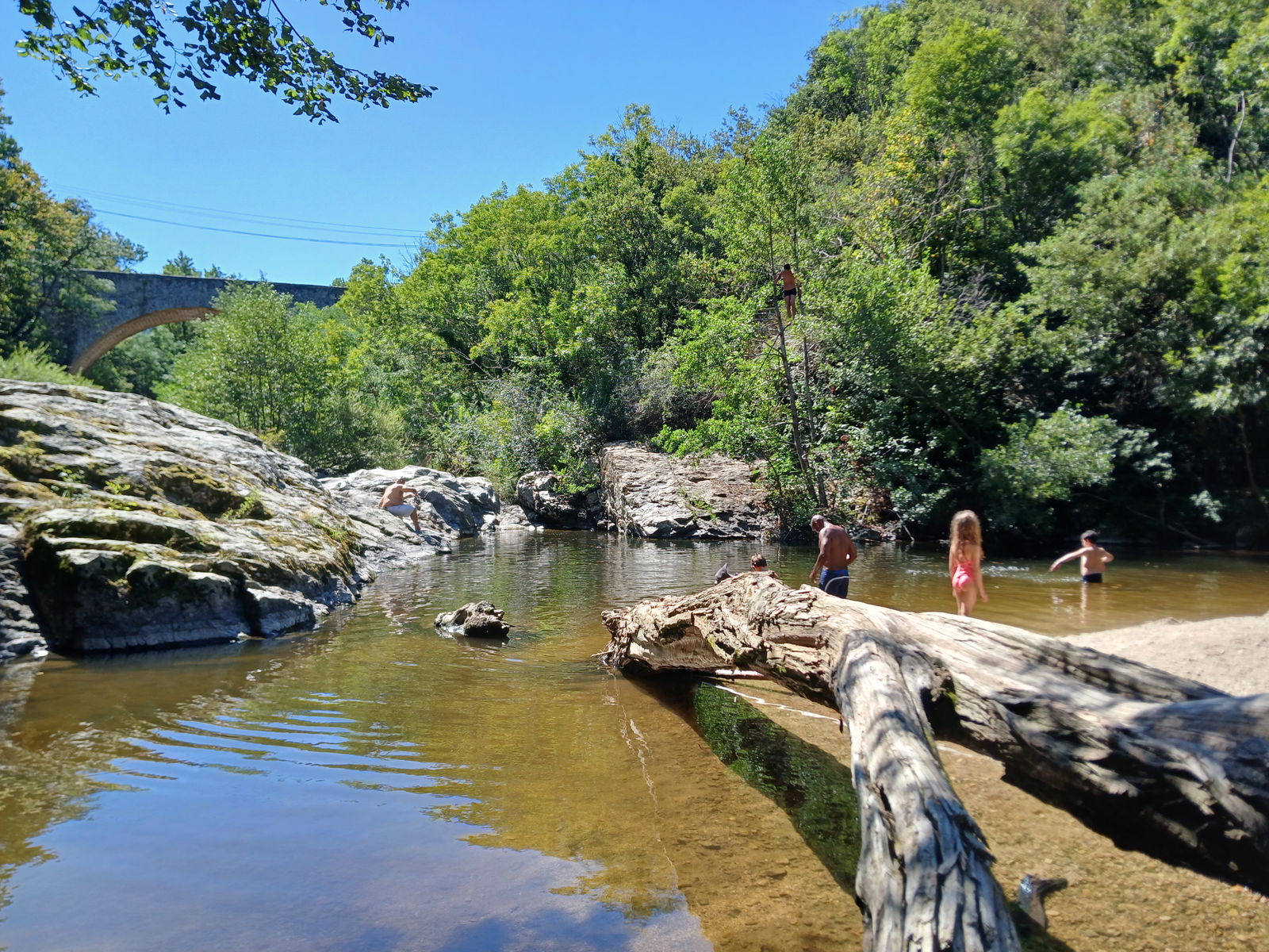 Colocation Saint-Sylvestre 264542