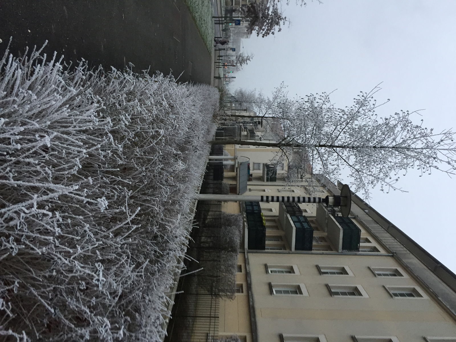 Colocation Bussy-Saint-Georges 139603