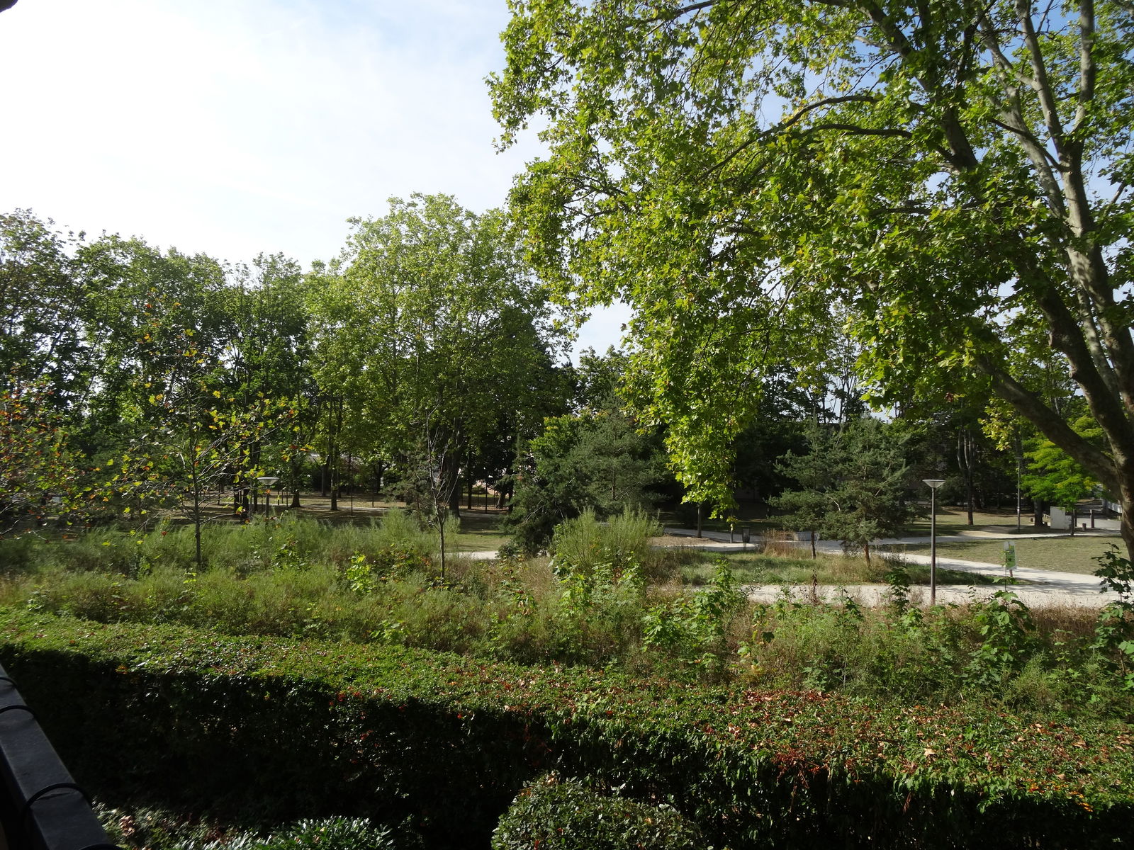 Colocation Cergy 249948