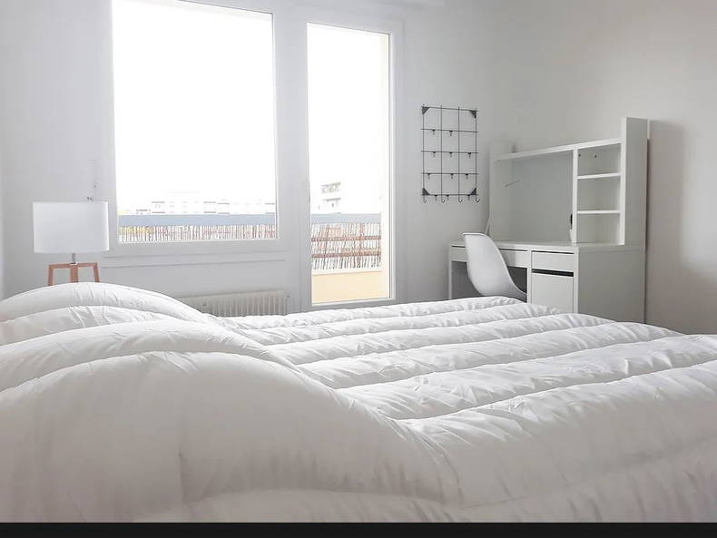 Colocation Dijon 329307-3