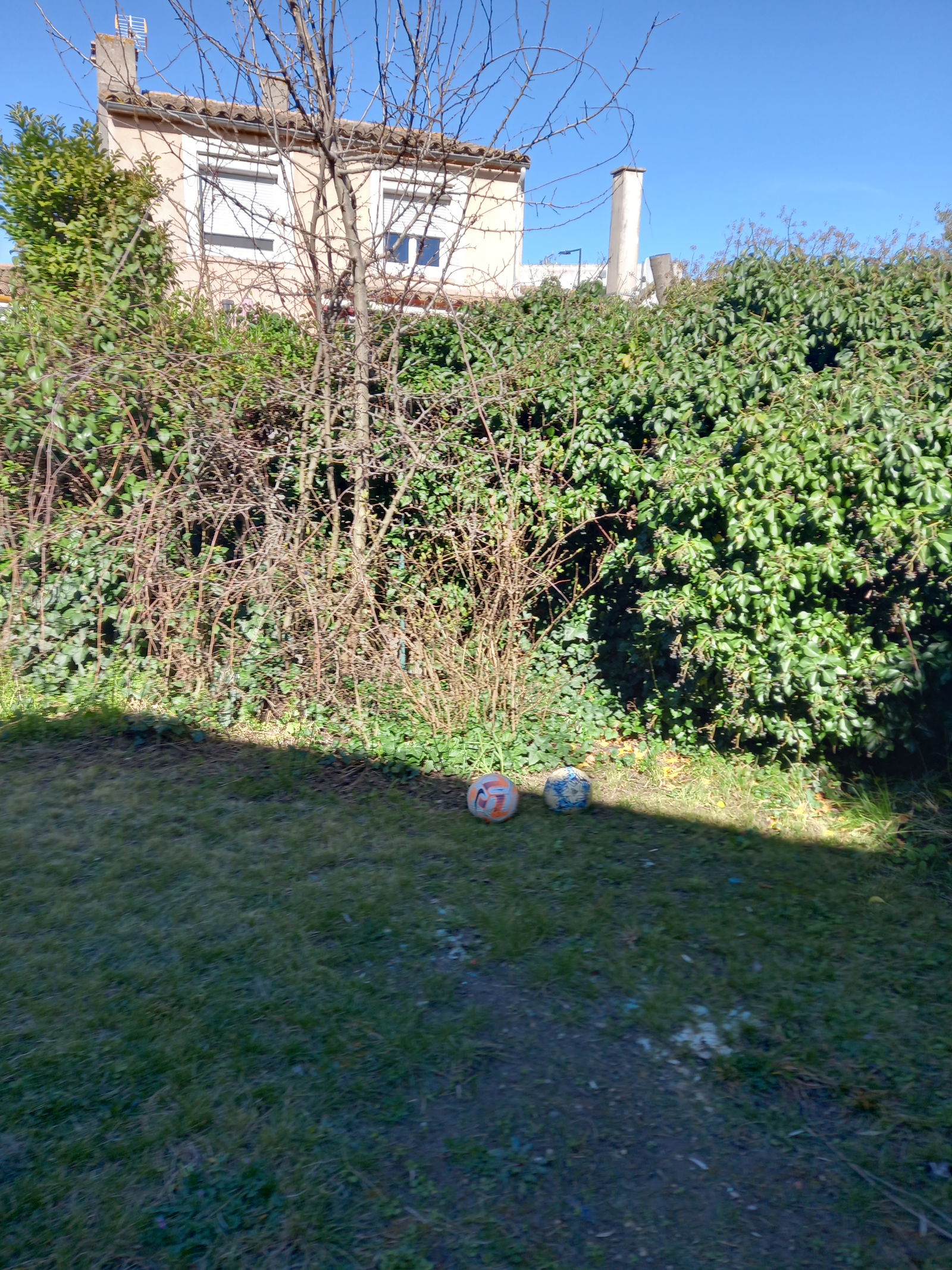 Homestay Carcassonne 433650