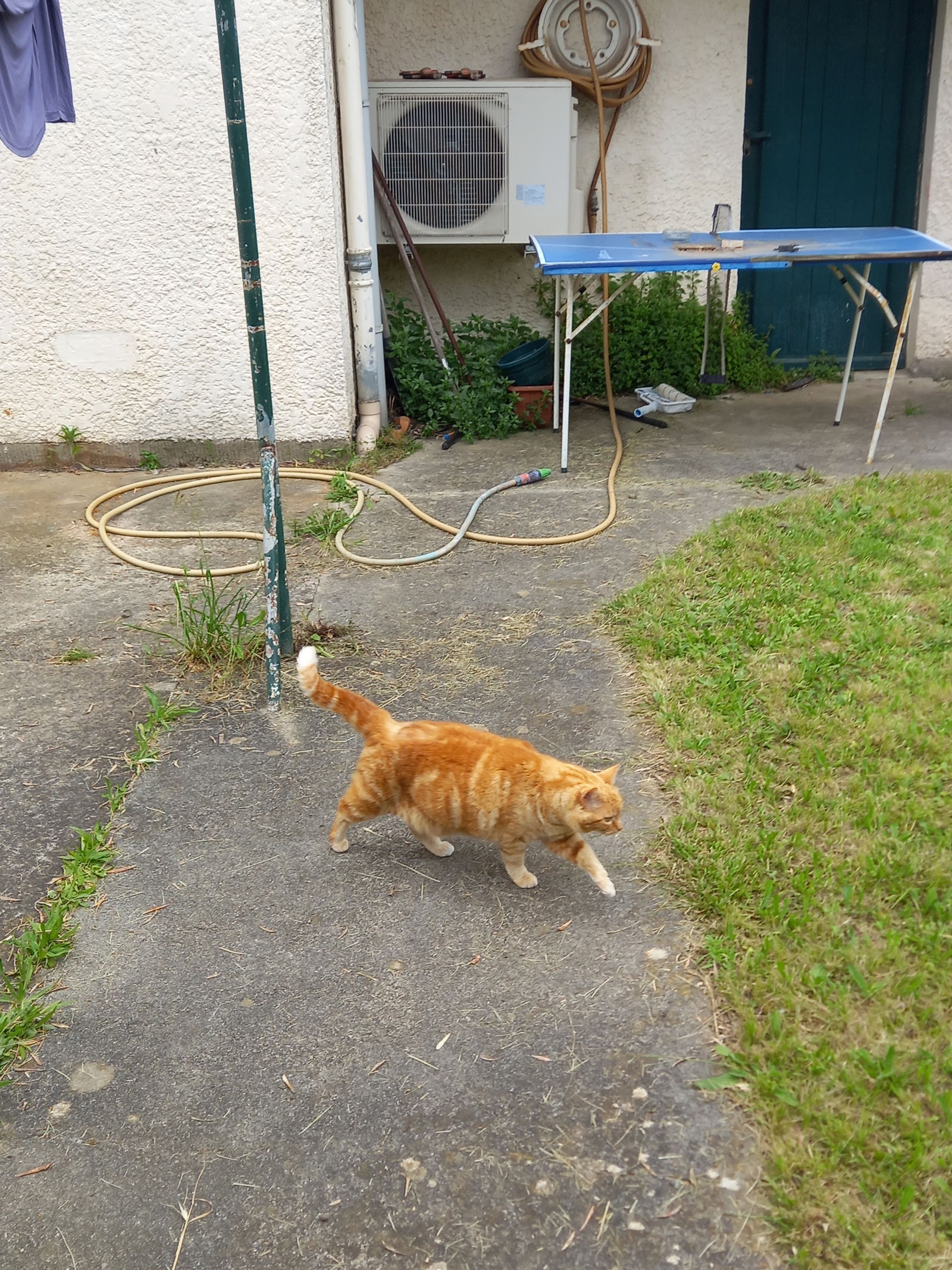 Homestay Carcassonne 433650