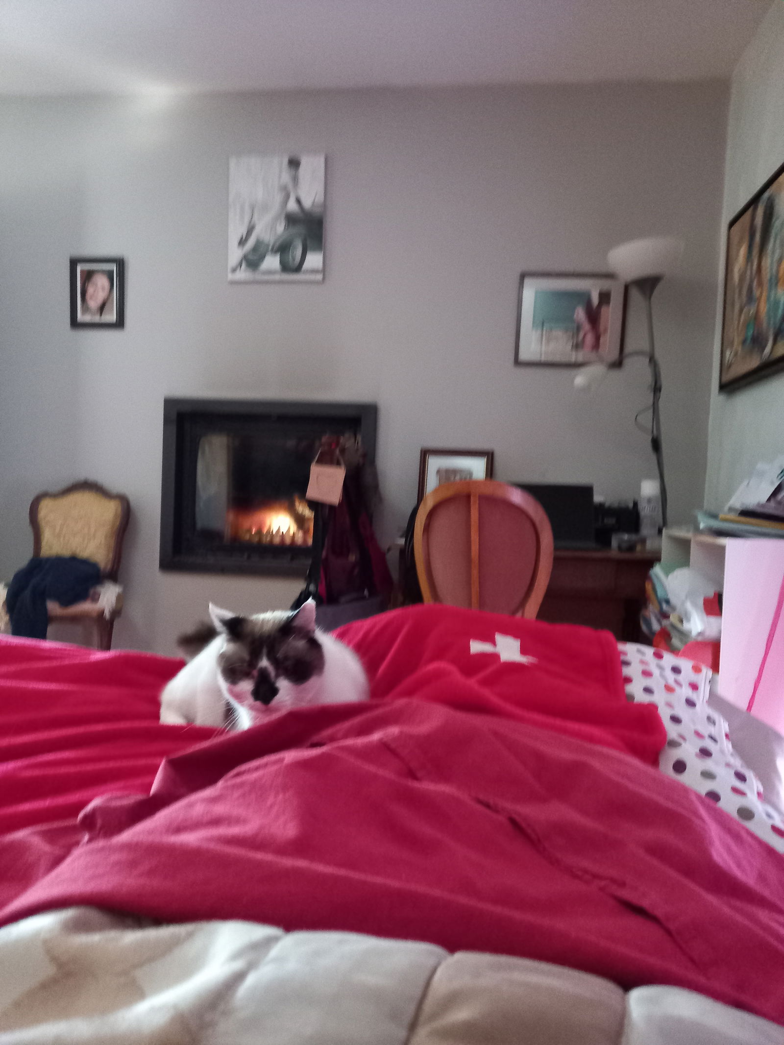 Homestay Trelins 342735