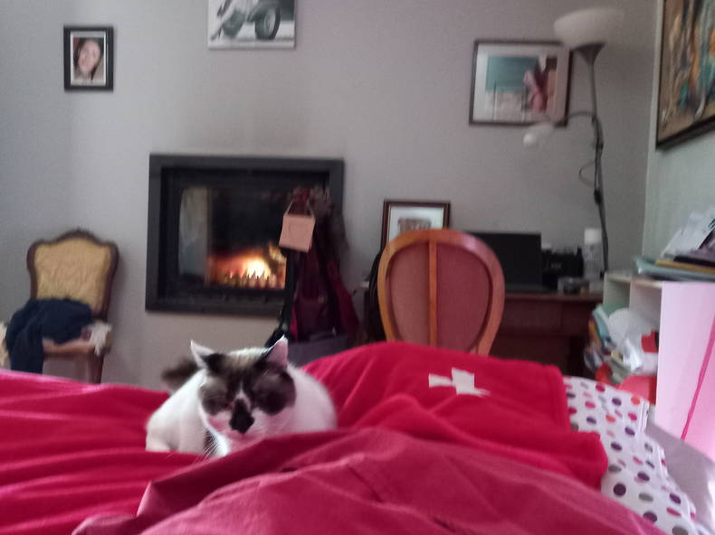 Hospedagem Em Casa De Família Trelins 342735-1