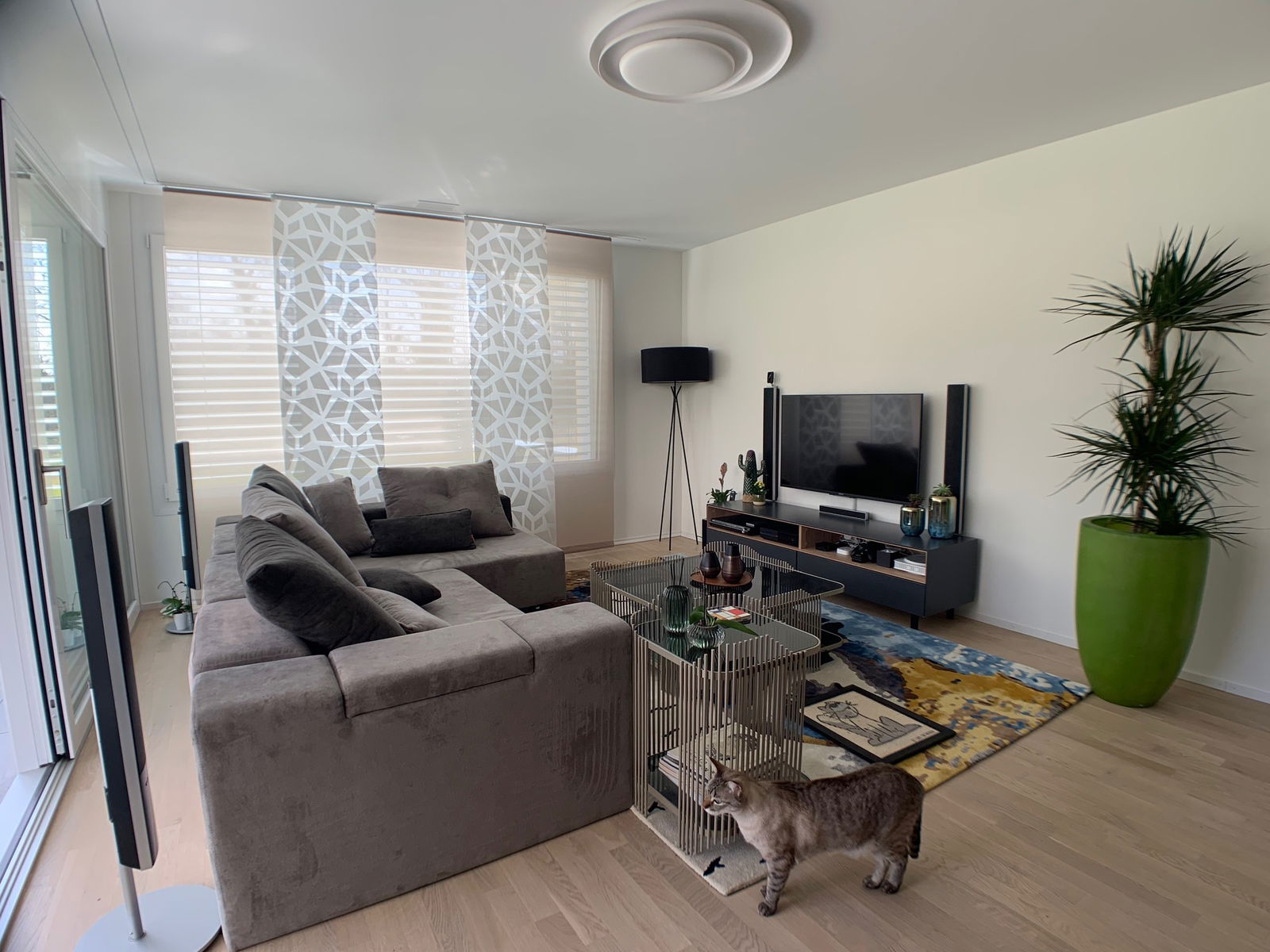 Colocation Saint-Sulpice 235768