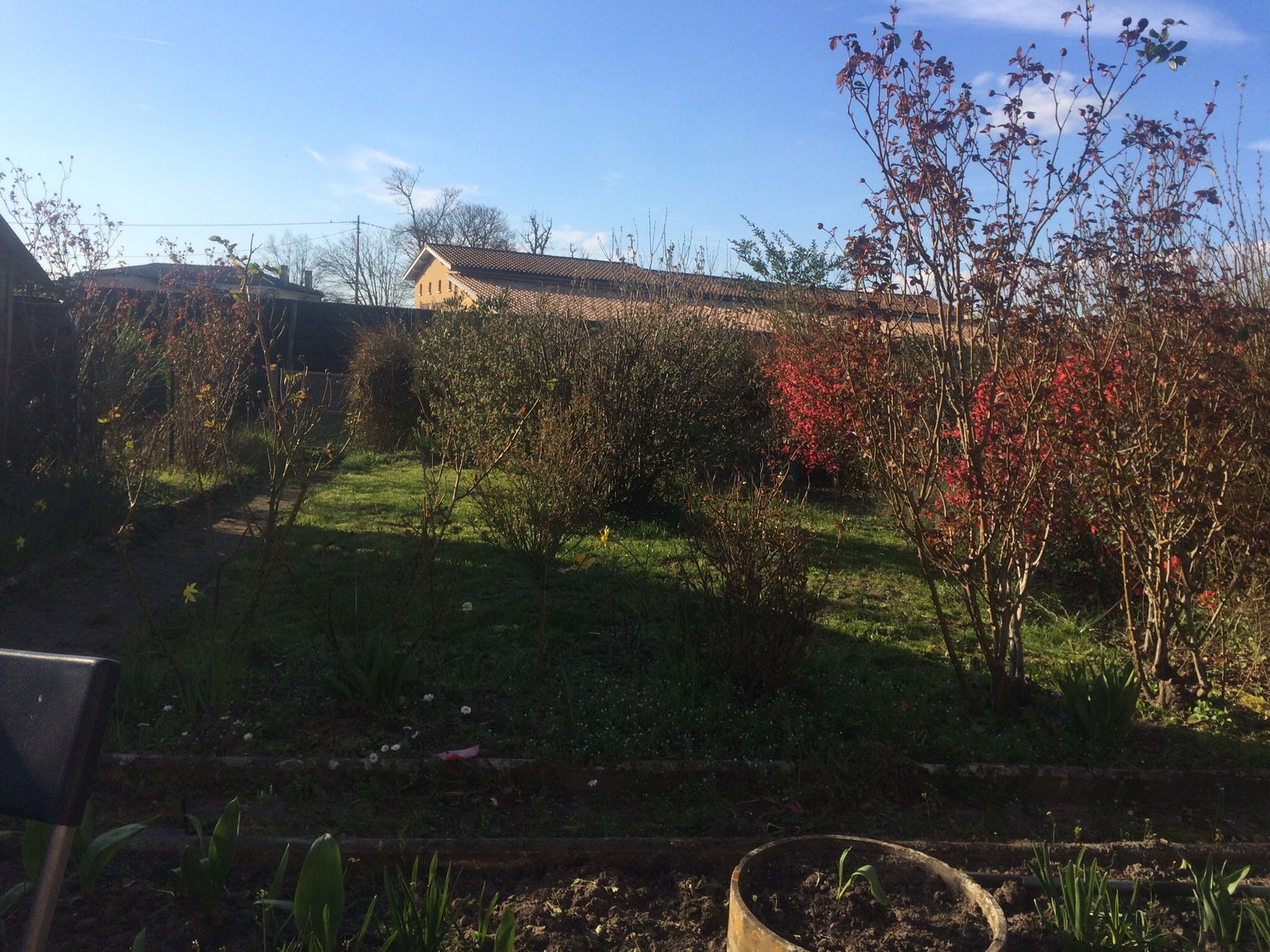 Colocation Noyal-Muzillac 99141
