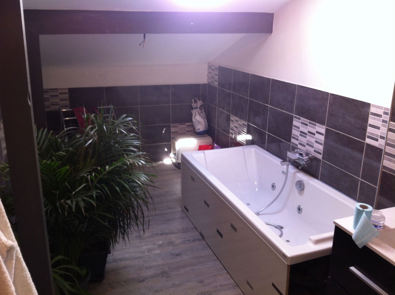 Colocation Noyal-Muzillac 99141