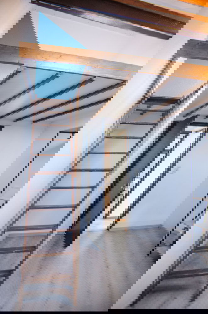 Colocation Charleroi 256351